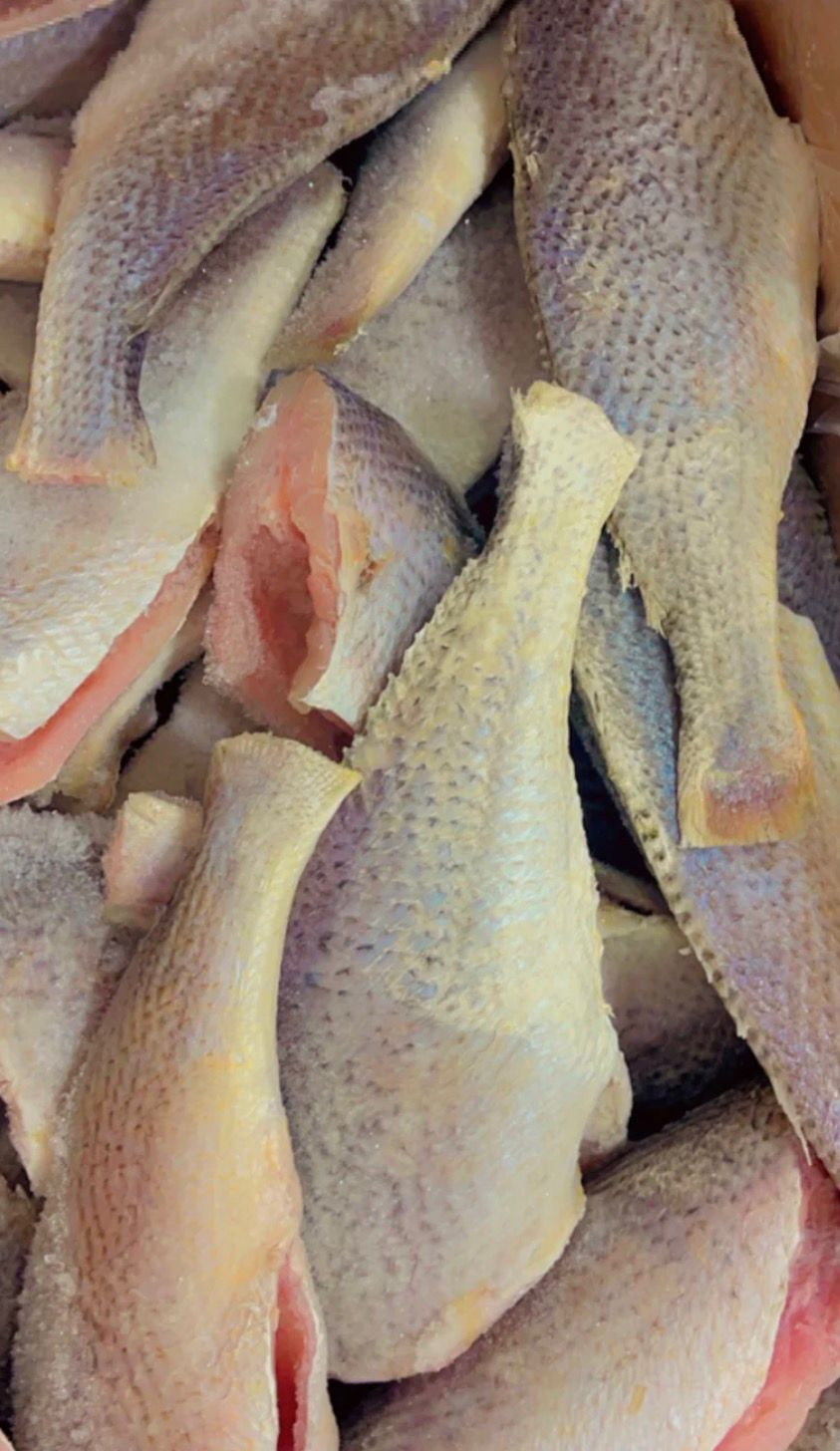 Frozen Croacker Fish